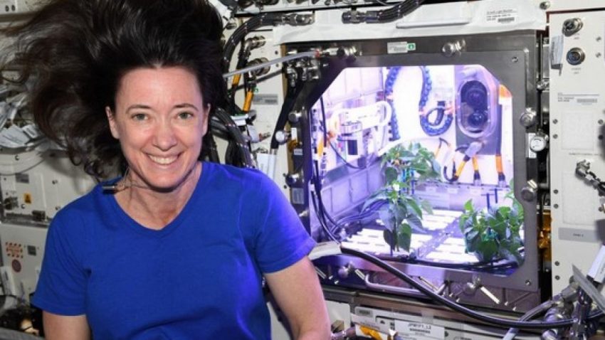 Uzaydan Güzel Bir Haber Geldi